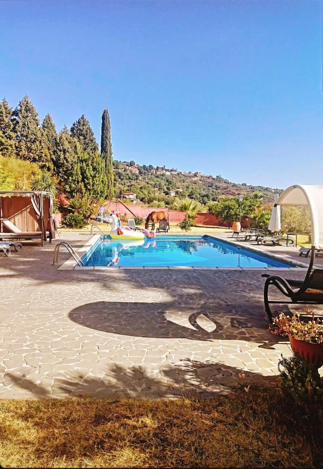 Villa Alessio - Case Vacanza Con Piscina Sull'Etna Puntalazzo Luaran gambar